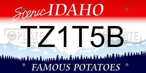 TZ1T5B Idaho License Plate