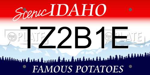TZ2B1E Idaho License Plate