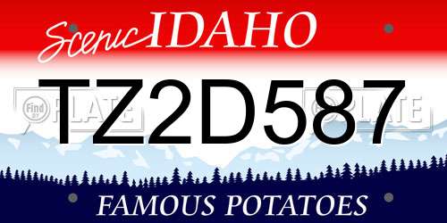 TZ2D587 Idaho License Plate