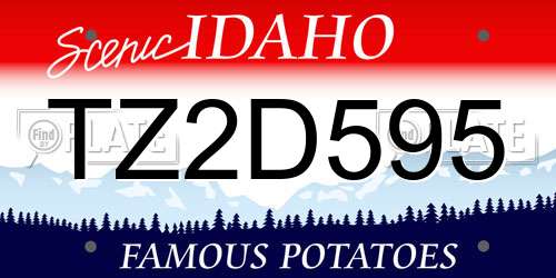 TZ2D595 Idaho License Plate