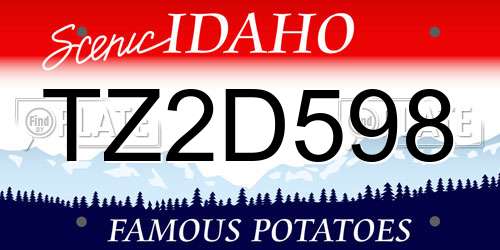 TZ2D598 Idaho License Plate