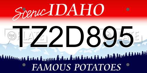 TZ2D895 Idaho License Plate
