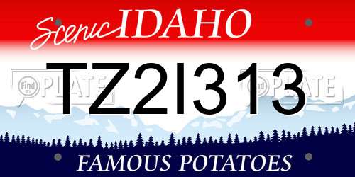 TZ2I313 Idaho License Plate
