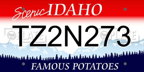 TZ2N273 Idaho License Plate