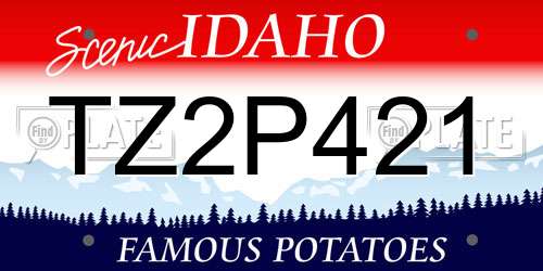 TZ2P421 Idaho License Plate