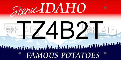 TZ4B2T Idaho License Plate