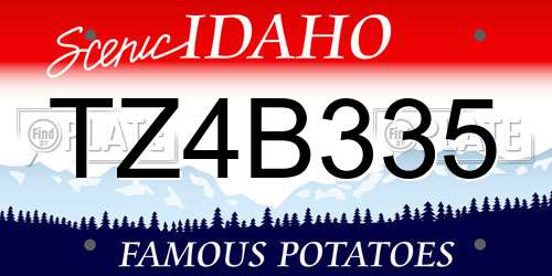 TZ4B335 Idaho License Plate