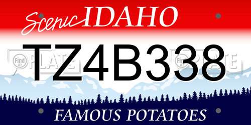TZ4B338 Idaho License Plate