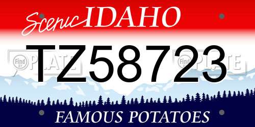 TZ58723 Idaho License Plate