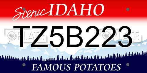 TZ5B223 Idaho License Plate