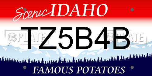 TZ5B4B Idaho License Plate