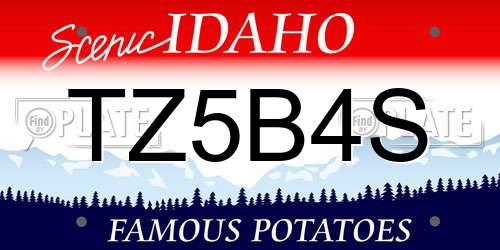 TZ5B4S Idaho License Plate