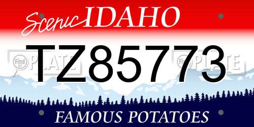 TZ85773 Idaho License Plate