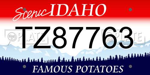 TZ87763 Idaho License Plate