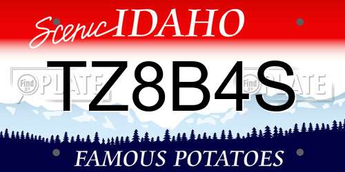 TZ8B4S Idaho License Plate
