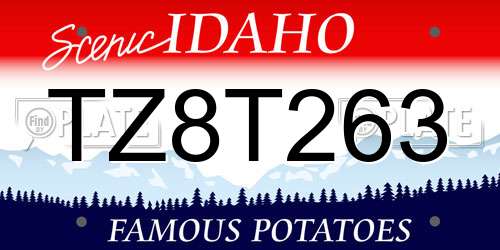 TZ8T263 Idaho License Plate