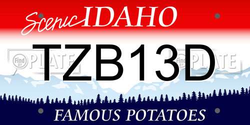 TZB13D Idaho License Plate