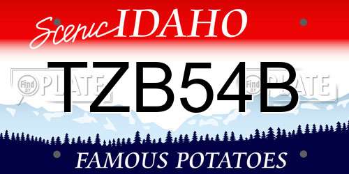 TZB54B Idaho License Plate