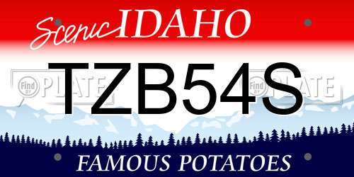 TZB54S Idaho License Plate