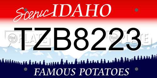 TZB8223 Idaho License Plate