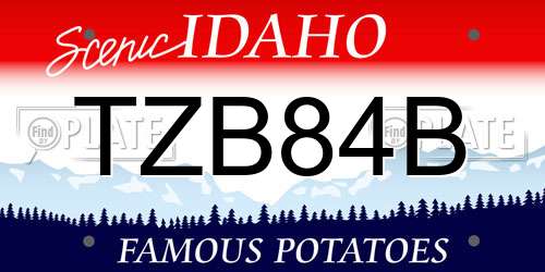 TZB84B Idaho License Plate