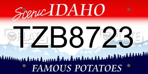 TZB8723 Idaho License Plate