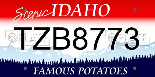 TZB8773 Idaho License Plate