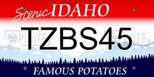 TZBS45 Idaho License Plate