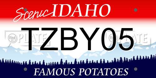 TZBY05 Idaho License Plate