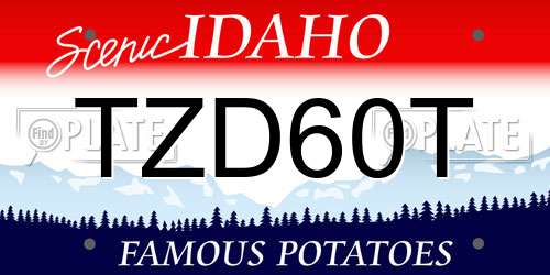 TZD60T Idaho License Plate