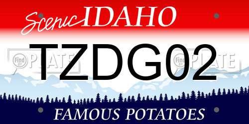 TZDG02 Idaho License Plate