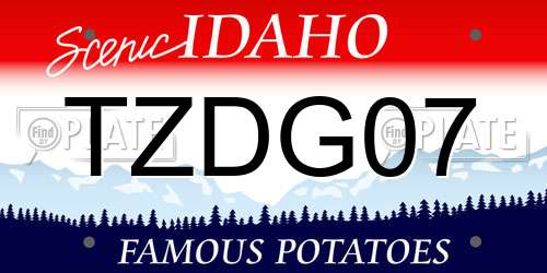 TZDG07 Idaho License Plate