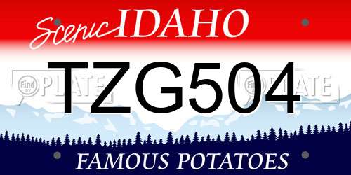 TZG504 Idaho License Plate