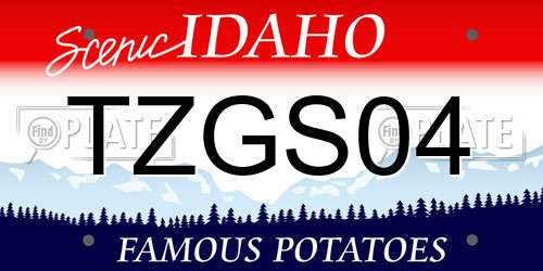 TZGS04 Idaho License Plate