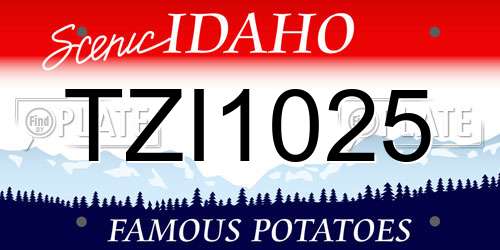 TZI1025 Idaho License Plate
