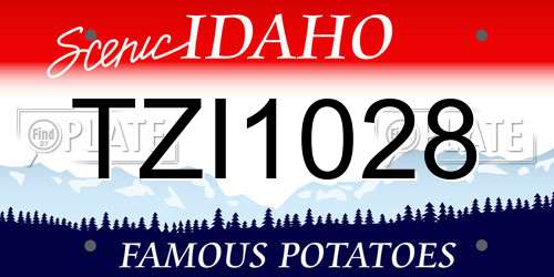 TZI1028 Idaho License Plate