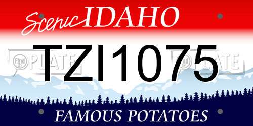 TZI1075 Idaho License Plate