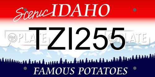 TZI255 Idaho License Plate