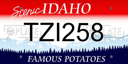 TZI258 Idaho License Plate