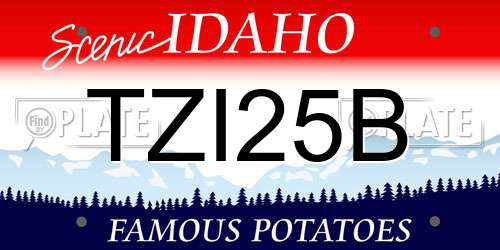 TZI25B Idaho License Plate