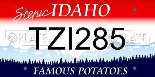 TZI285 Idaho License Plate