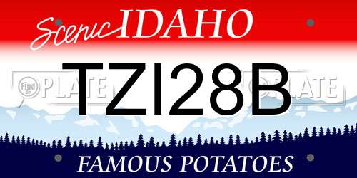 TZI28B Idaho License Plate