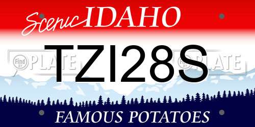 TZI28S Idaho License Plate