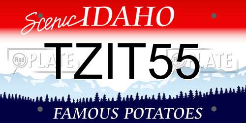 TZIT55 Idaho License Plate