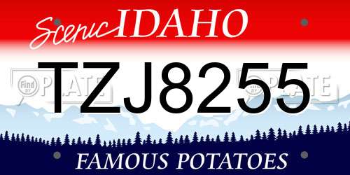 TZJ8255 Idaho License Plate