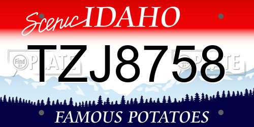 TZJ8758 Idaho License Plate
