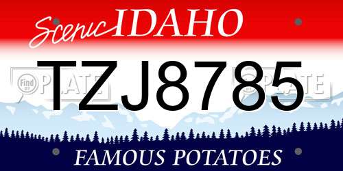 TZJ8785 Idaho License Plate