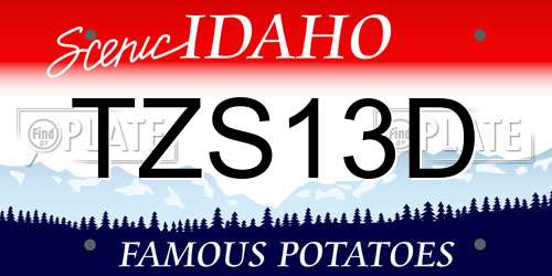TZS13D Idaho License Plate