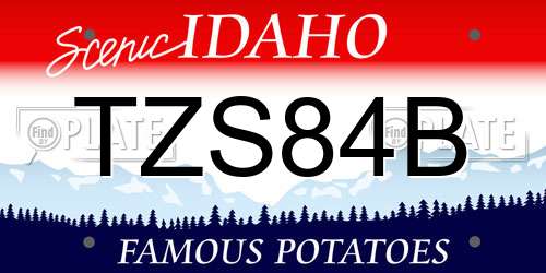 TZS84B Idaho License Plate