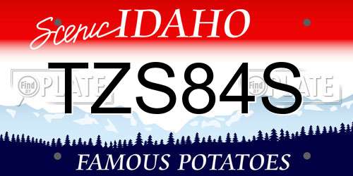 TZS84S Idaho License Plate